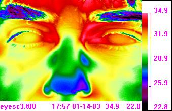 opinión del primer del termograma de la cara