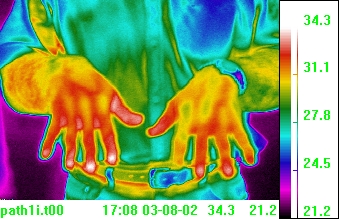 hands thermal view